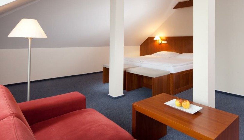 Hotel REZA Františkovy Lázně